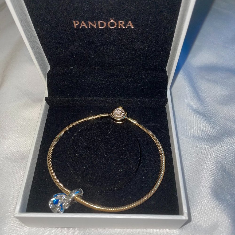 COPY - PANDORA CHARM BRACELET